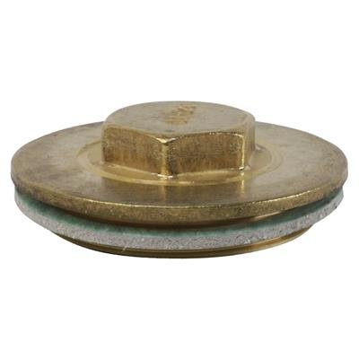 2 1/4" IMMERSION PLUG & WASHER