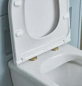 Tavistock Optional Seat Hinge Covers for Compass, Structure & Levant Slim Seat - Brushed Brass