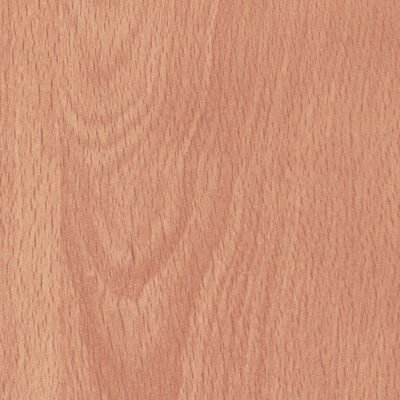 AltofinaBeech Beech 001