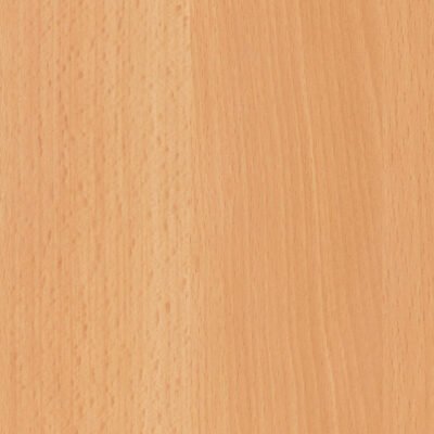 AltofinaBeech Beech 004