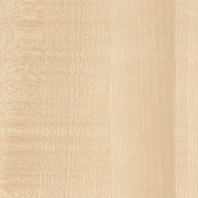 FormicaMaple F3855                        Clear Maple