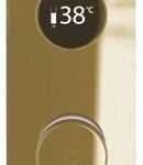 TED Togo Oval Series 3 Outlet Digital Shower - Brushed Brass