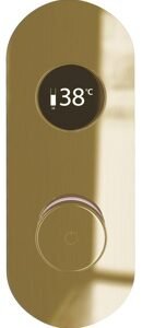 TED Togo Oval Series 3 Outlet Digital Shower - Brushed Brass