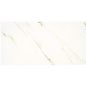NAPLES MARBLE WALL TILE 250X500