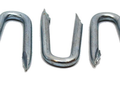 Galvanised Staples - 25kg Boxes