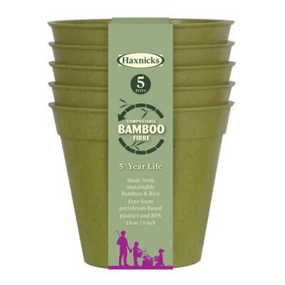 Bamboo Pot Sage Green 5" - (5)