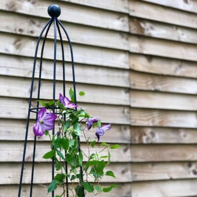 Queen Obelisk Classic 1.2m