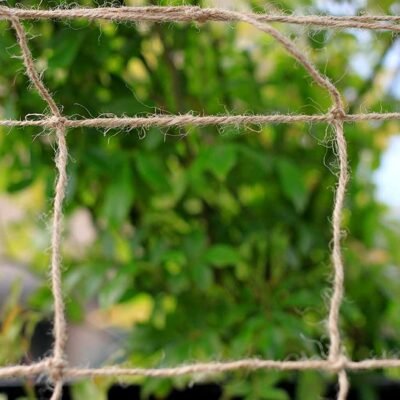 Jute Plant Support Netting