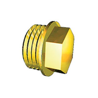 1/2" BRASS FLANGE PLUG